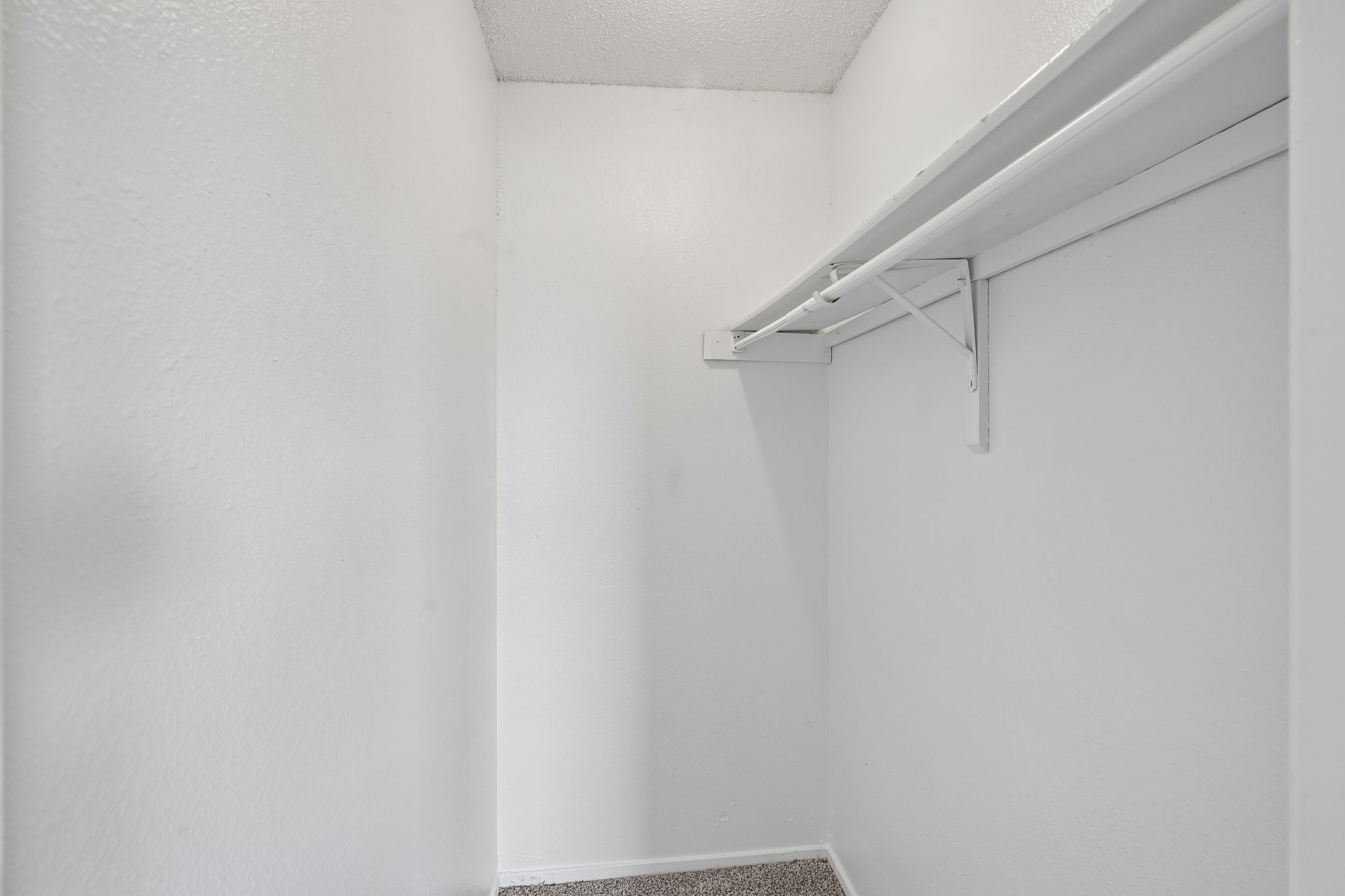 A white closet with a shelf and a carpeted floor.